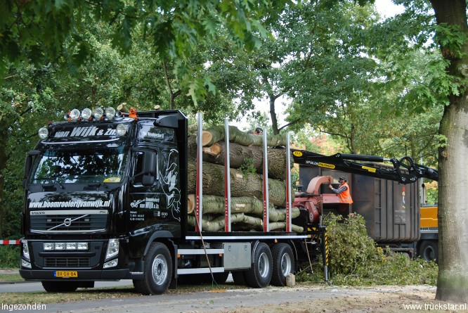 Boomrooierij van Wijk & Zn.