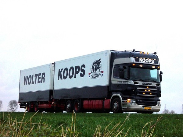 Wolter Koops