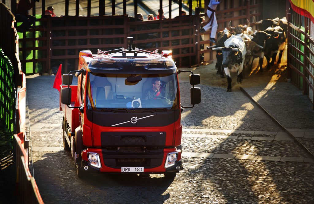 Volvo FL opgejaagd door kudde stieren