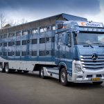 Actros in Volvo-nest