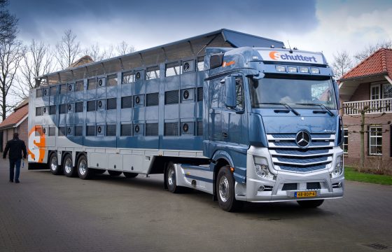 Actros in Volvo-nest