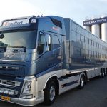 Ook rijtje Volvo FH's voor Schuttert