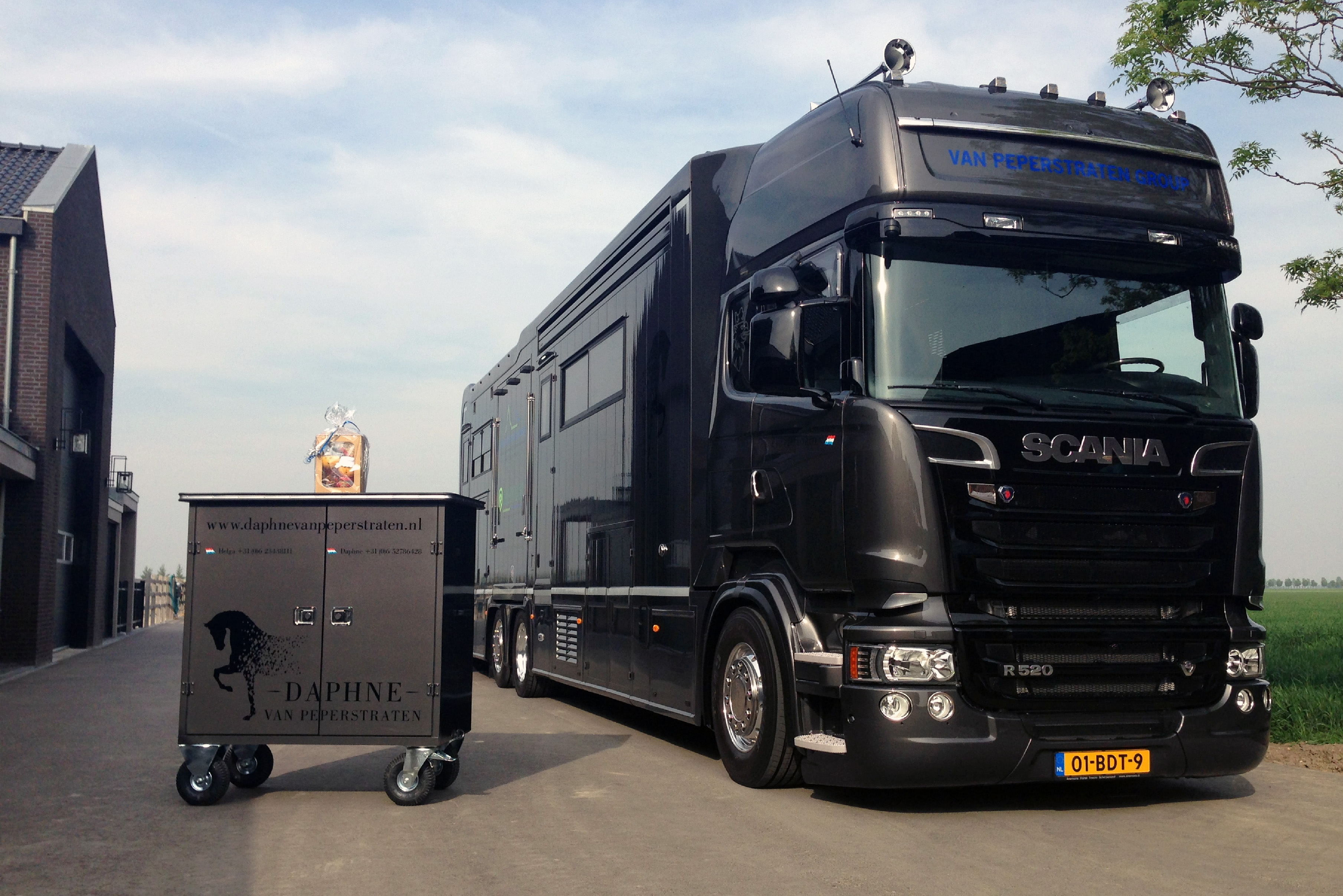 Luxe paarden en werkpaarden - Truckstar