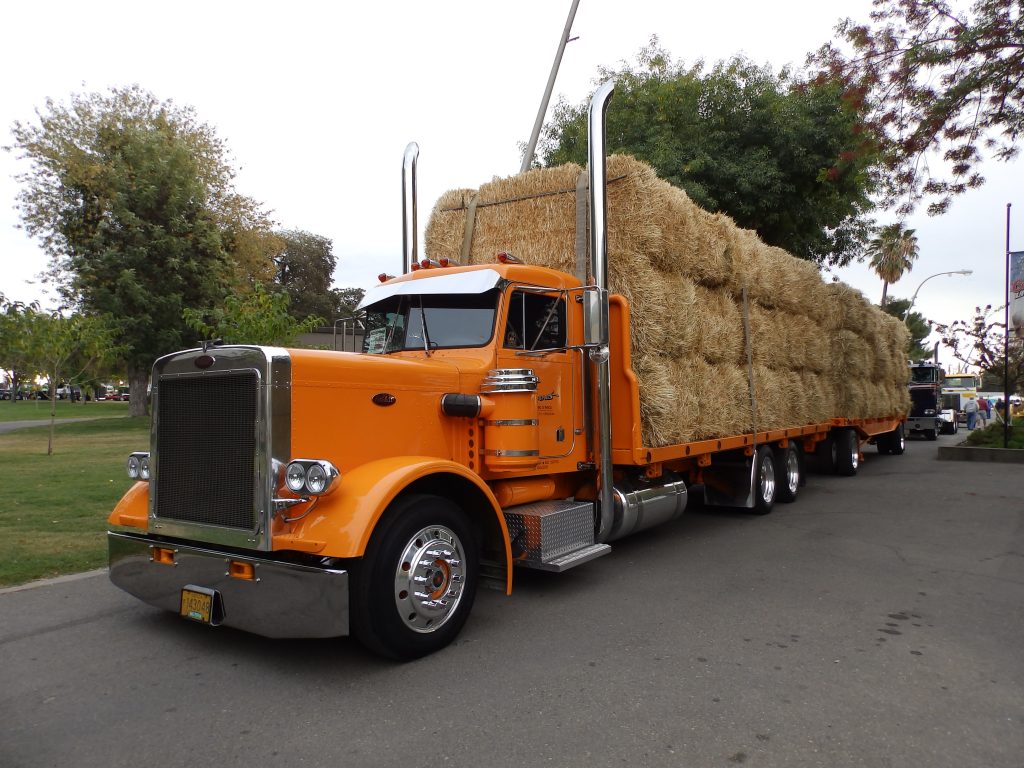 All Peterbilt Truckshow Stockton