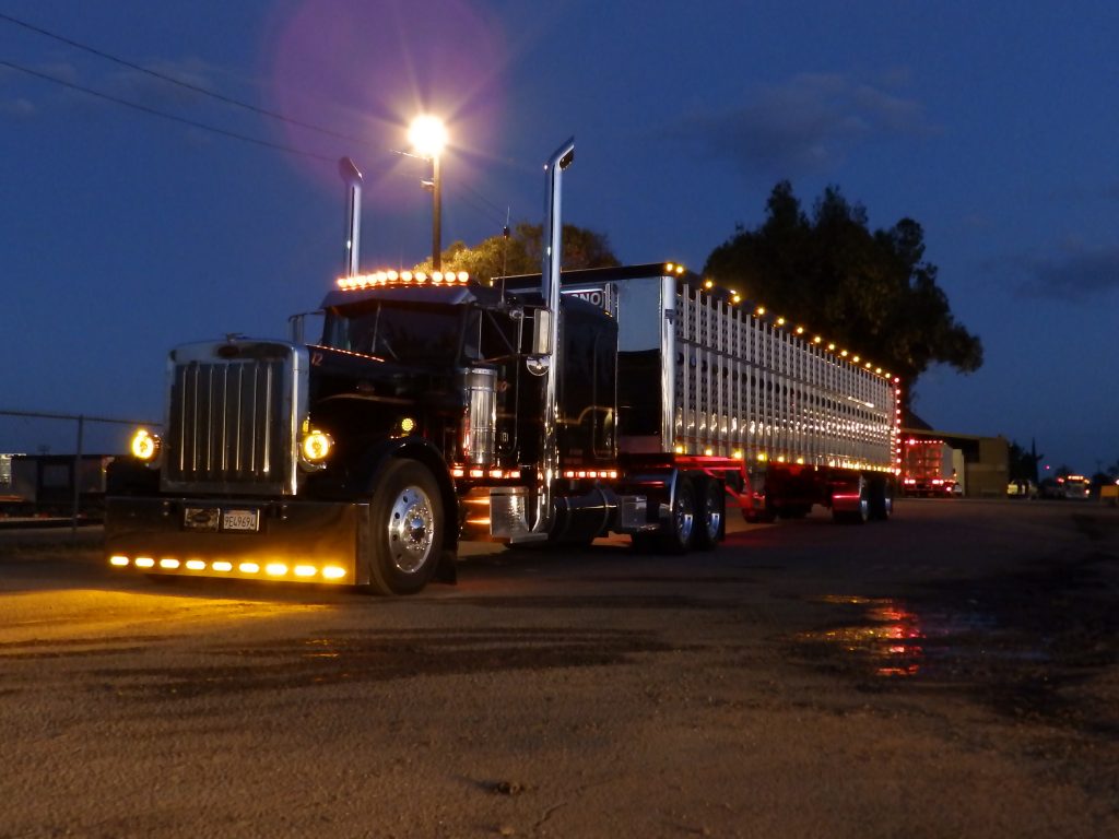 All Peterbilt Truckshow Stockton