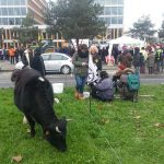 Blokkades boze boeren krimpen