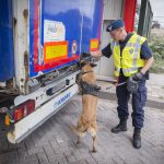 17 Afghanen in truck Hoek van Holland