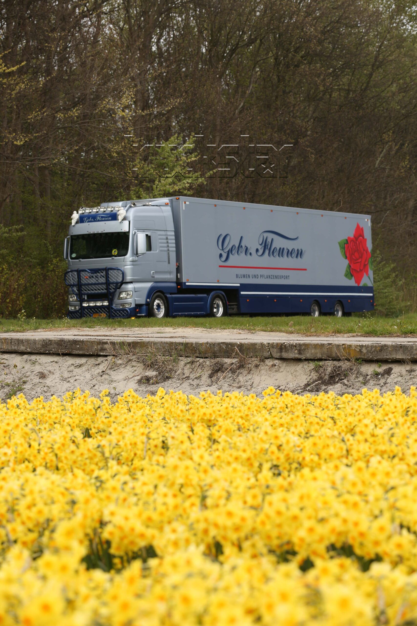 bloementransport